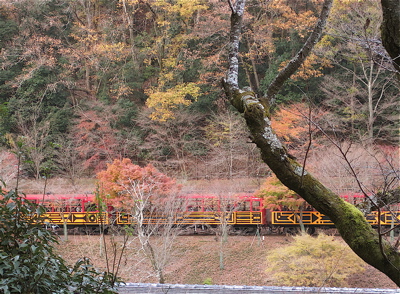a0164011_075096.jpg