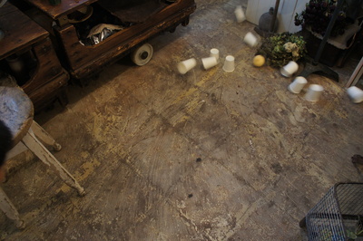 e0291313_152325.jpg