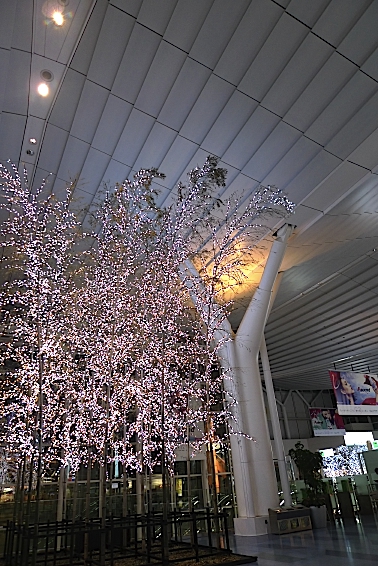 e0157816_14323925.jpg