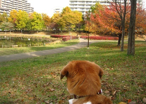 c0084117_1864541.jpg