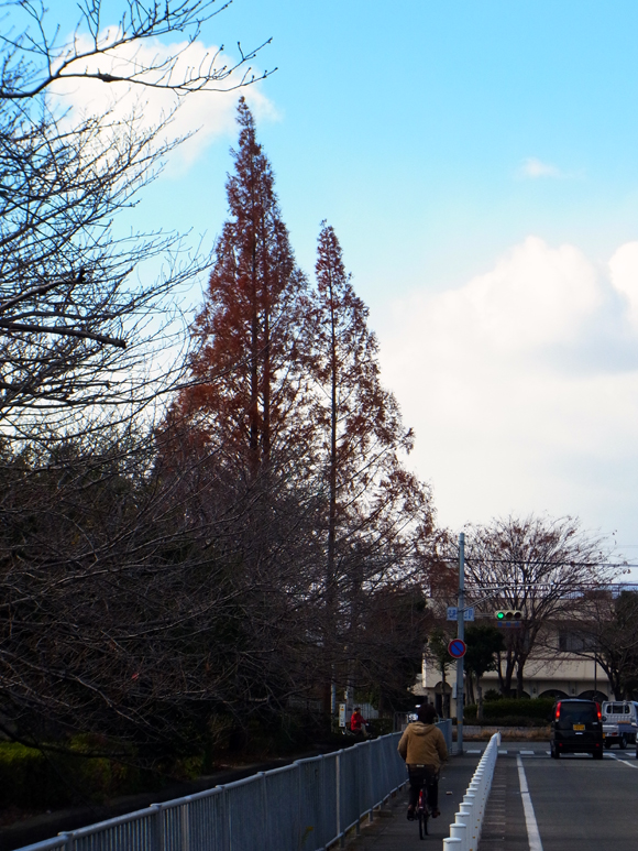 e0083517_0141932.jpg