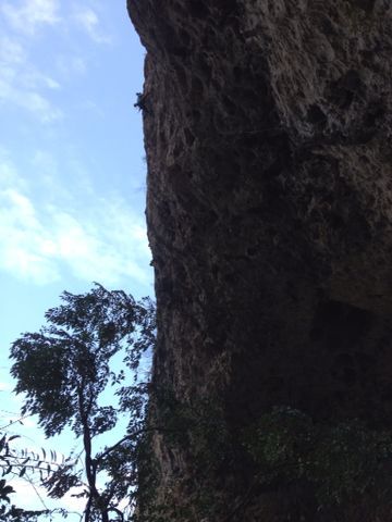 c0210618_21344968.jpg