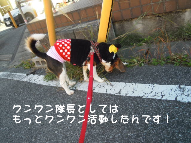 c0166622_17272348.jpg