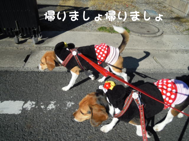 c0166622_17273455.jpg