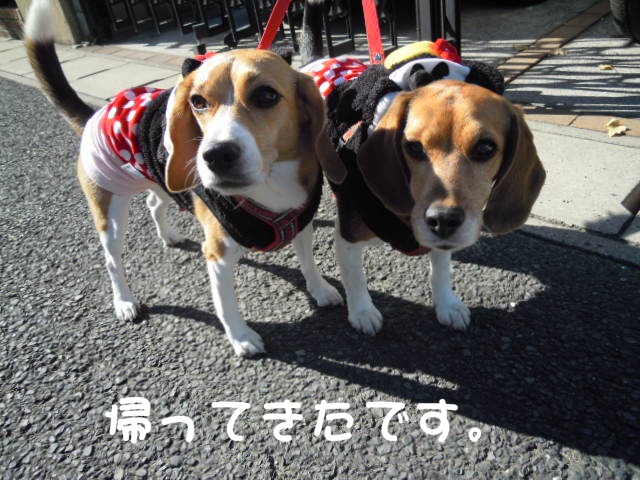 c0166622_17274352.jpg
