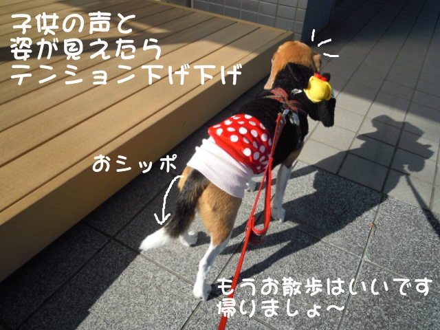 c0166622_1727832.jpg