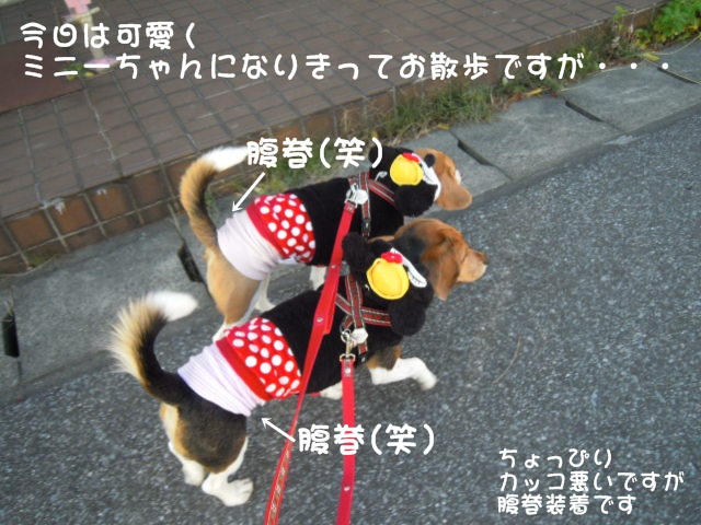 c0166622_1731154.jpg