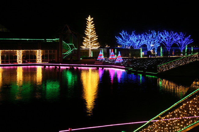 f0017530_2164798.jpg