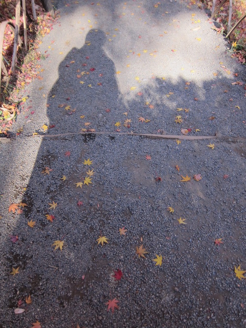 e0018143_3521221.jpg
