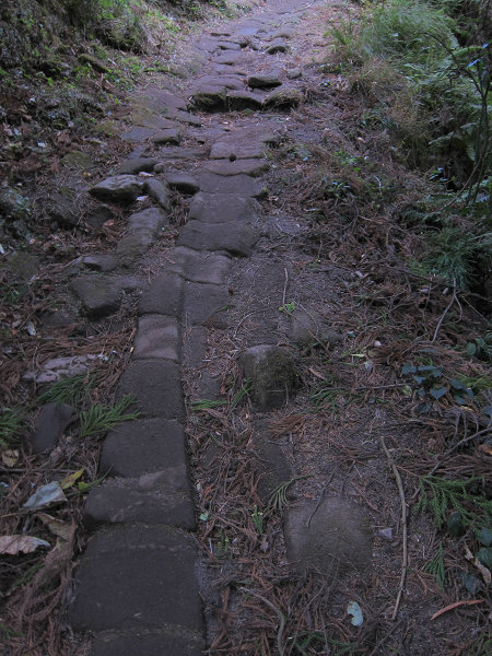 c0081645_032394.jpg