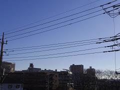d0021146_1453356.jpg