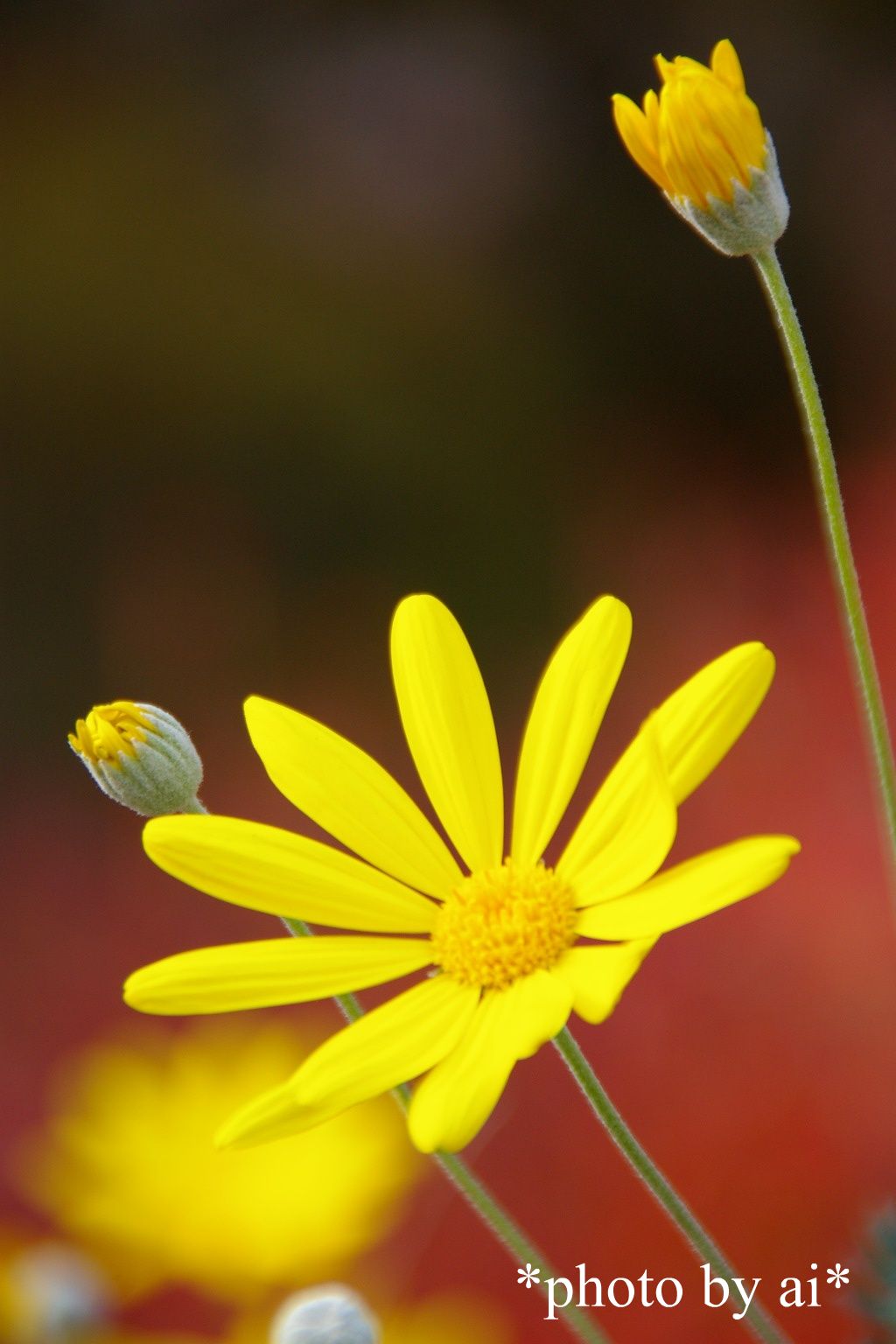 a0299749_0503.jpg