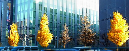 c0171349_14261589.jpg