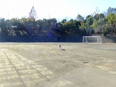c0097558_18666.jpg