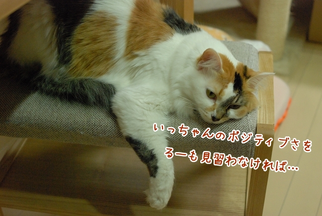 a0266372_21361229.jpg