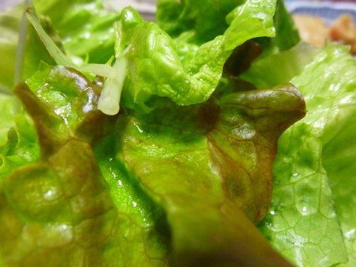 c0216472_20123460.jpg