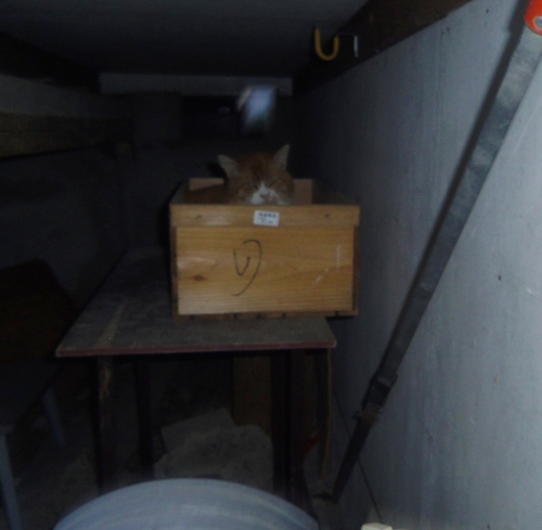 e0031572_2011780.jpg