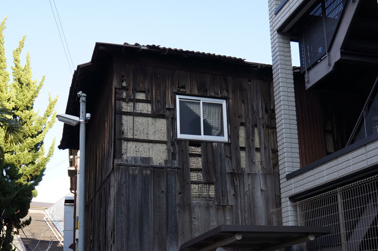 b0057679_9465621.jpg