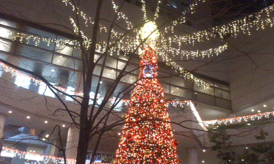 c0069380_11222968.jpg