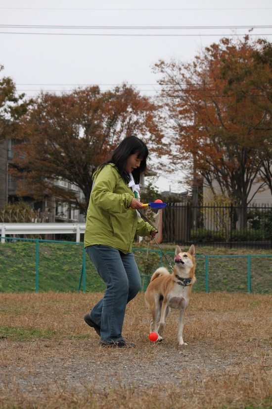 f0230380_2542278.jpg