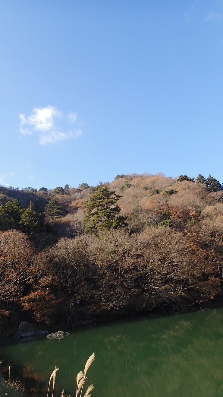 e0024081_2231856.jpg