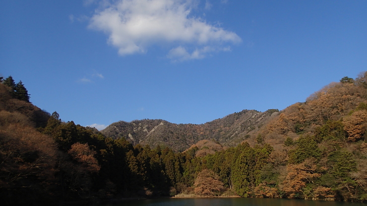 e0024081_223449.jpg
