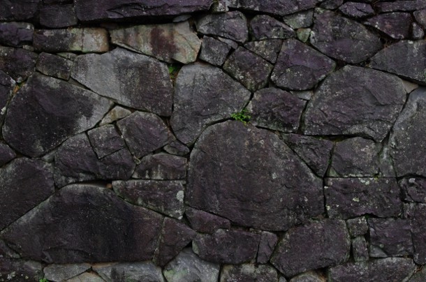 a0189883_0329100.jpg