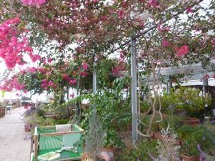 d0238083_0581592.jpg