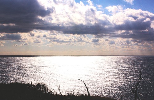 c0204385_2027913.jpg