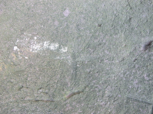 a0166196_1913126.jpg