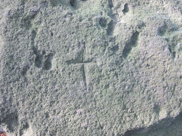a0166196_191466.jpg