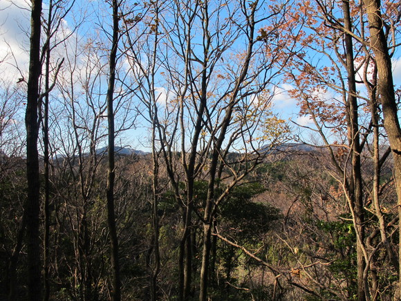 a0166196_1924088.jpg