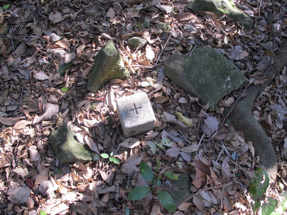 a0166196_1934914.jpg