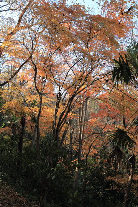 b0275998_2320134.jpg