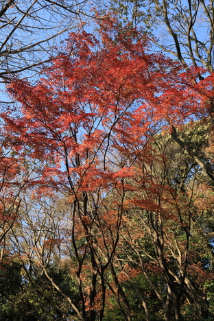 b0275998_23405821.jpg