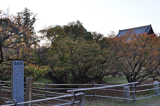 e0007801_1255910.jpg