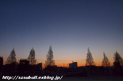 e0145805_1735312.jpg