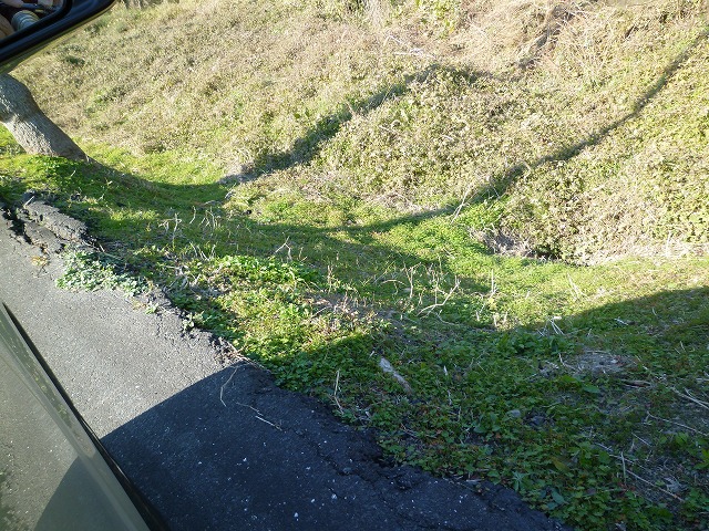 d0037110_13405326.jpg