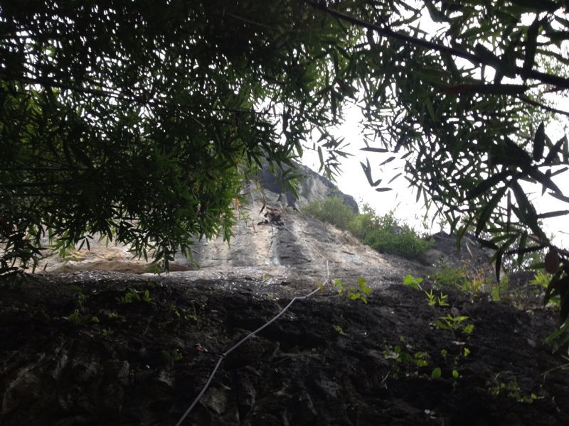 c0210618_2046534.jpg