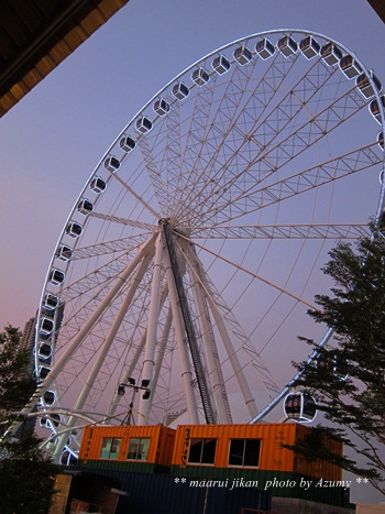a0114521_19524391.jpg