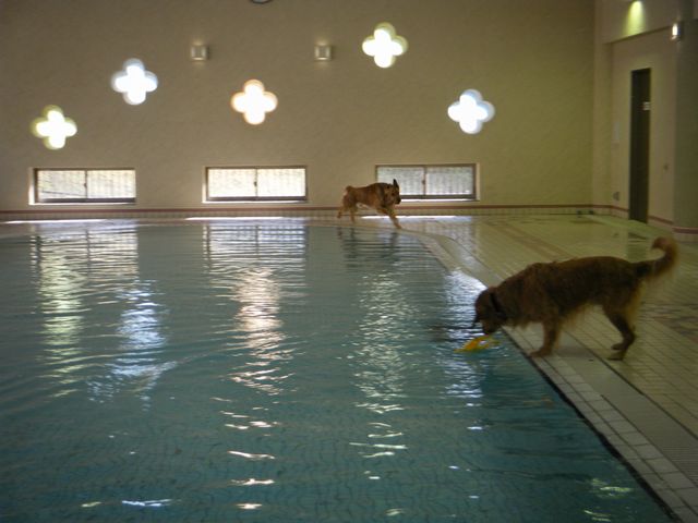 b0127531_1615656.jpg