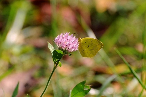 a0017634_2129157.jpg