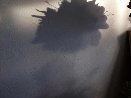 a0255040_0141424.jpg
