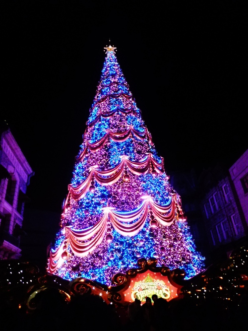 a0299749_20483879.jpg