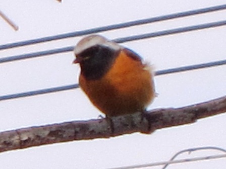 b0289649_20392863.jpg