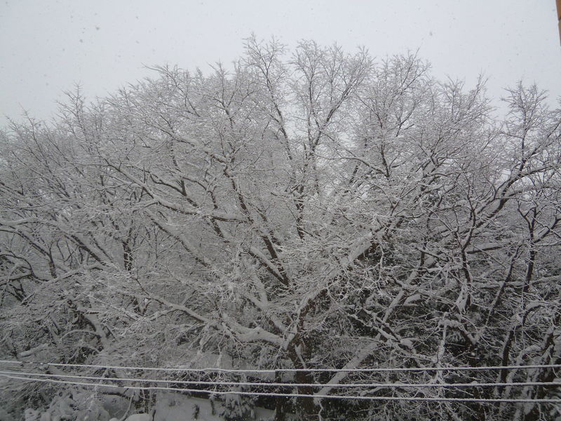 a0193457_2118216.jpg