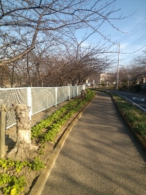 d0271257_21173133.jpg