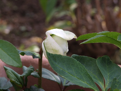 e0088260_222112.jpg