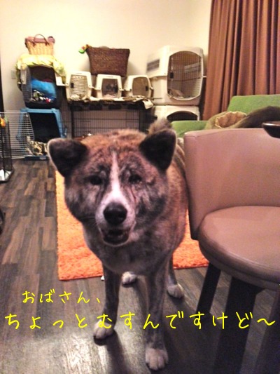 f0177261_101328100.jpg