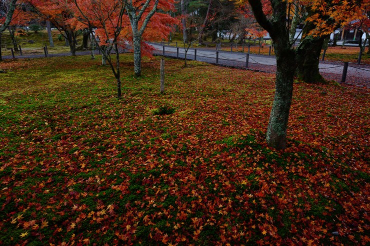 f0222161_904585.jpg